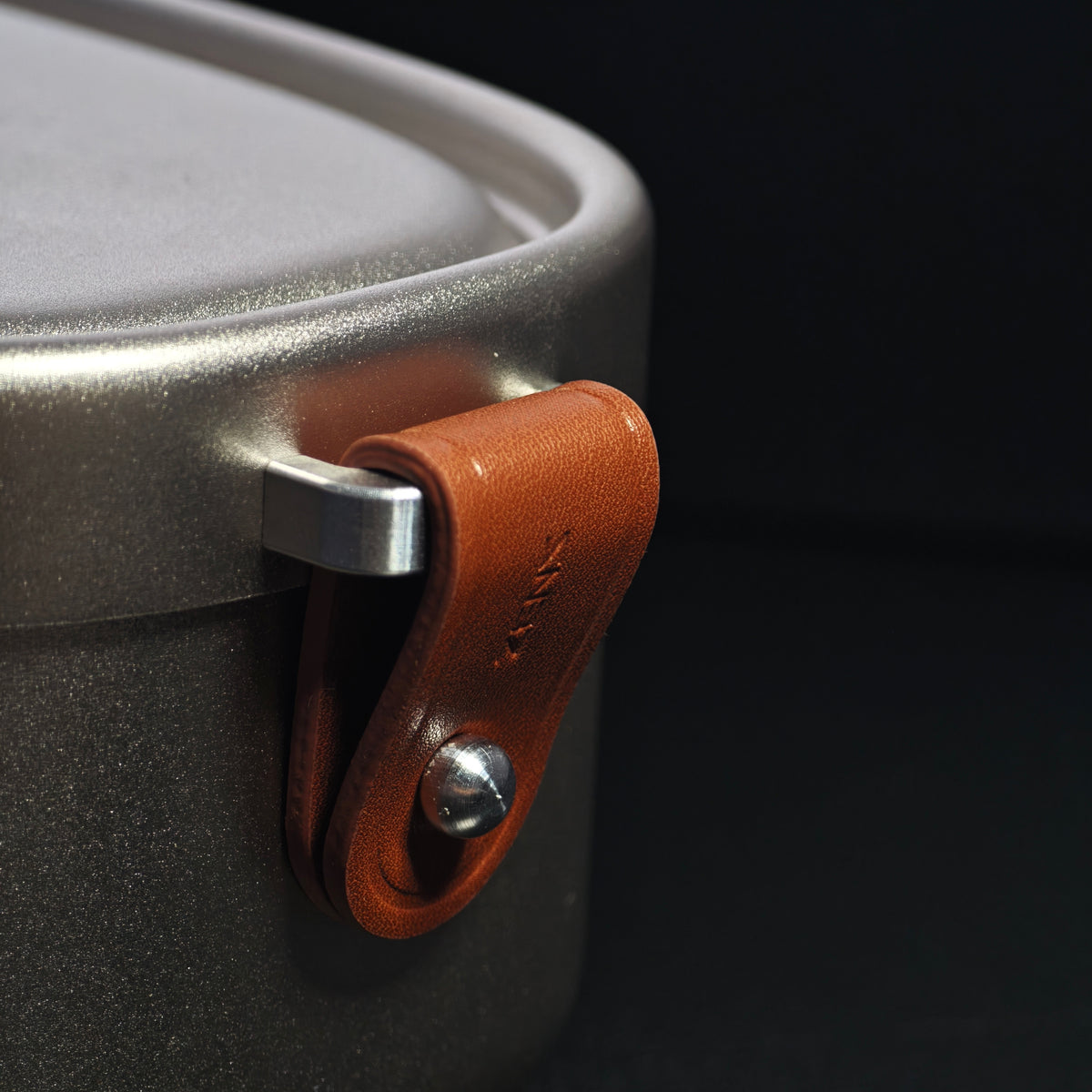 Close-up of the case strap and snap closure